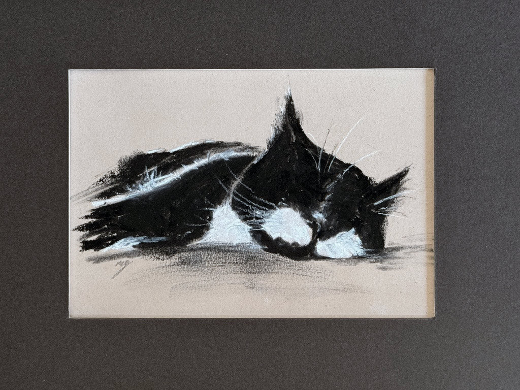 Cats