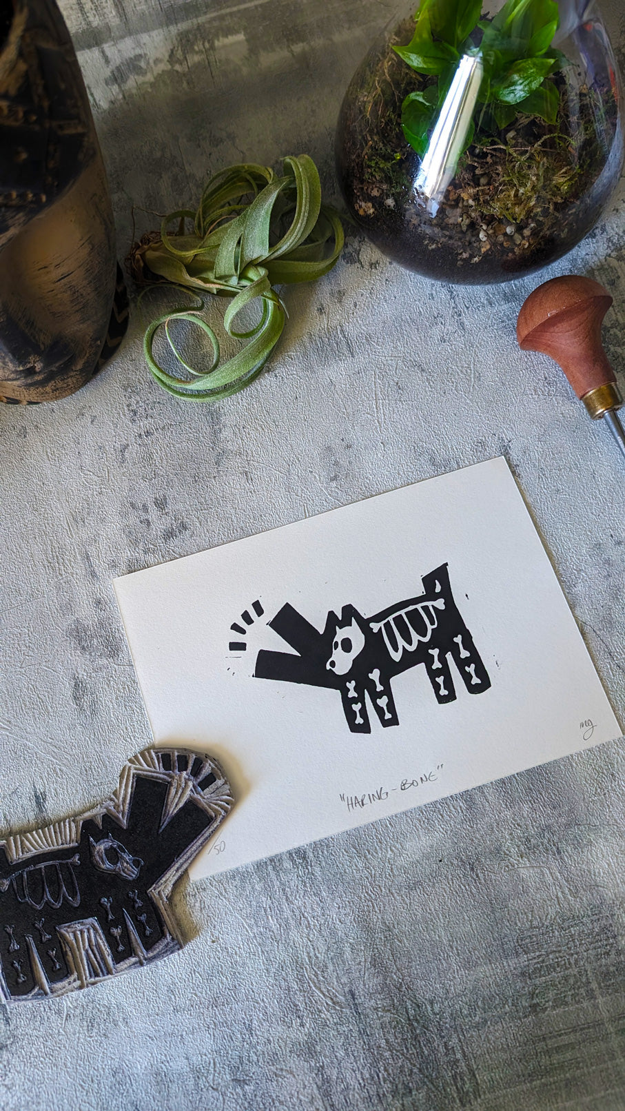 Haring Bone