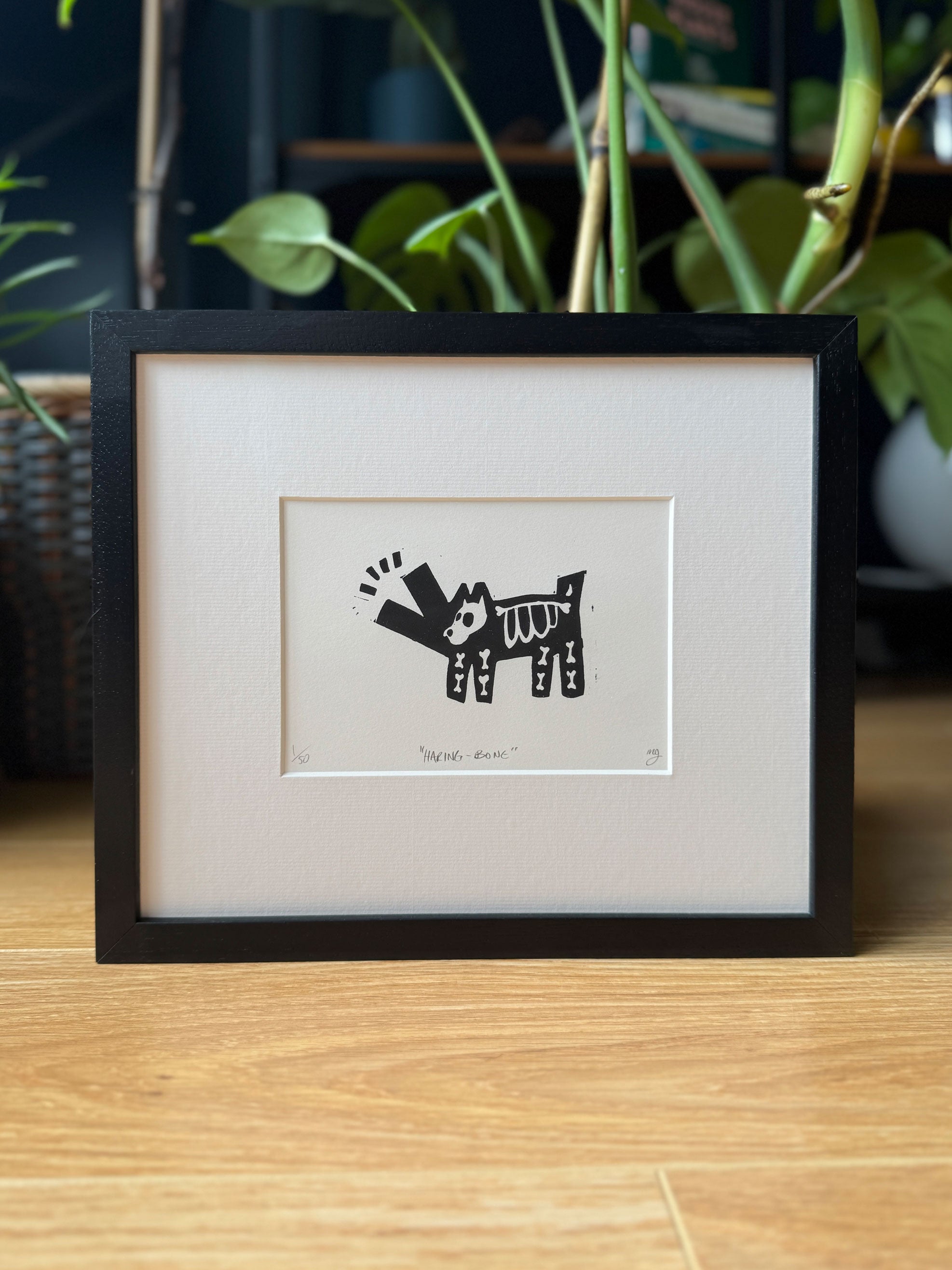 Haring Bone