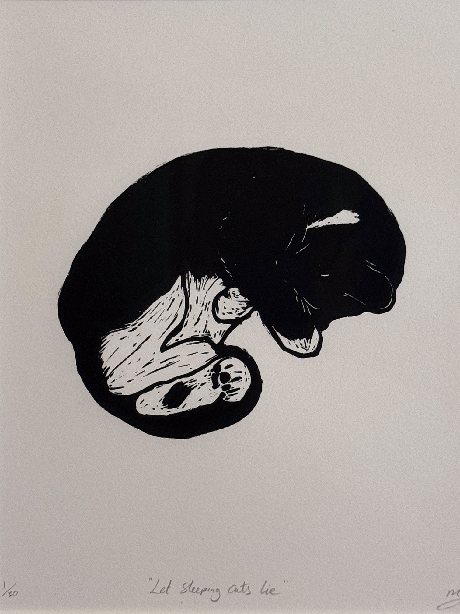 Let sleeping cats lie