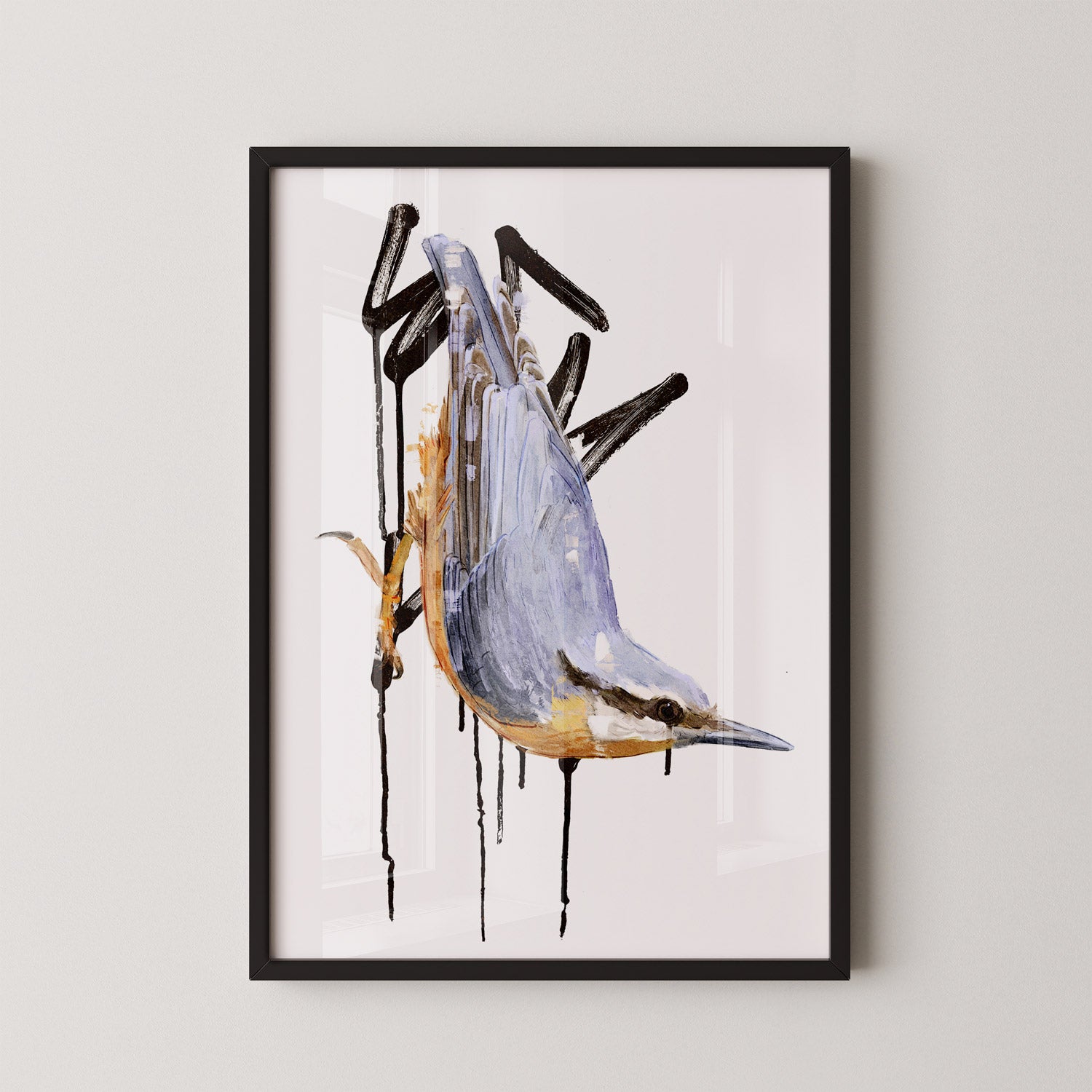 Nuthatch