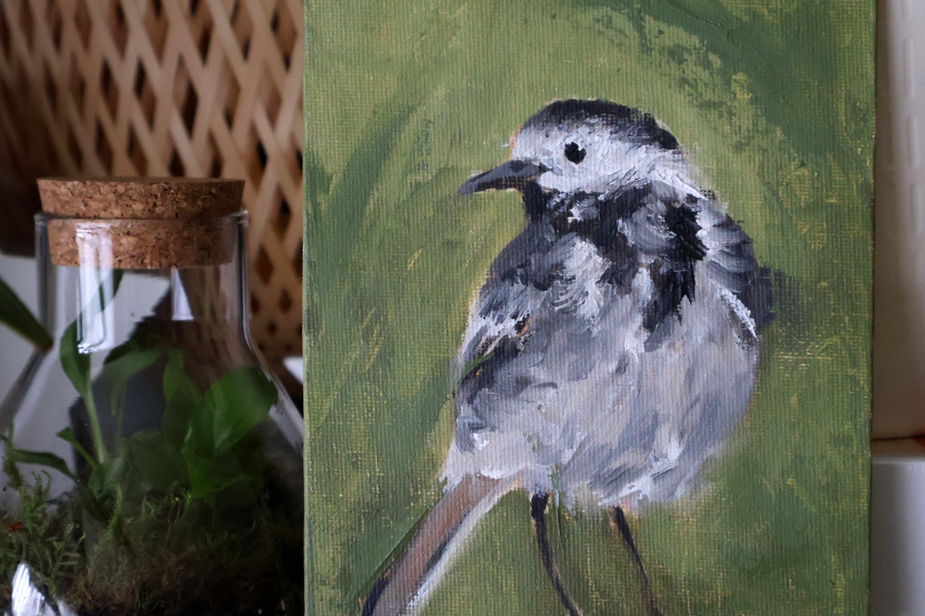 Pied Wagtail (Alla prima)