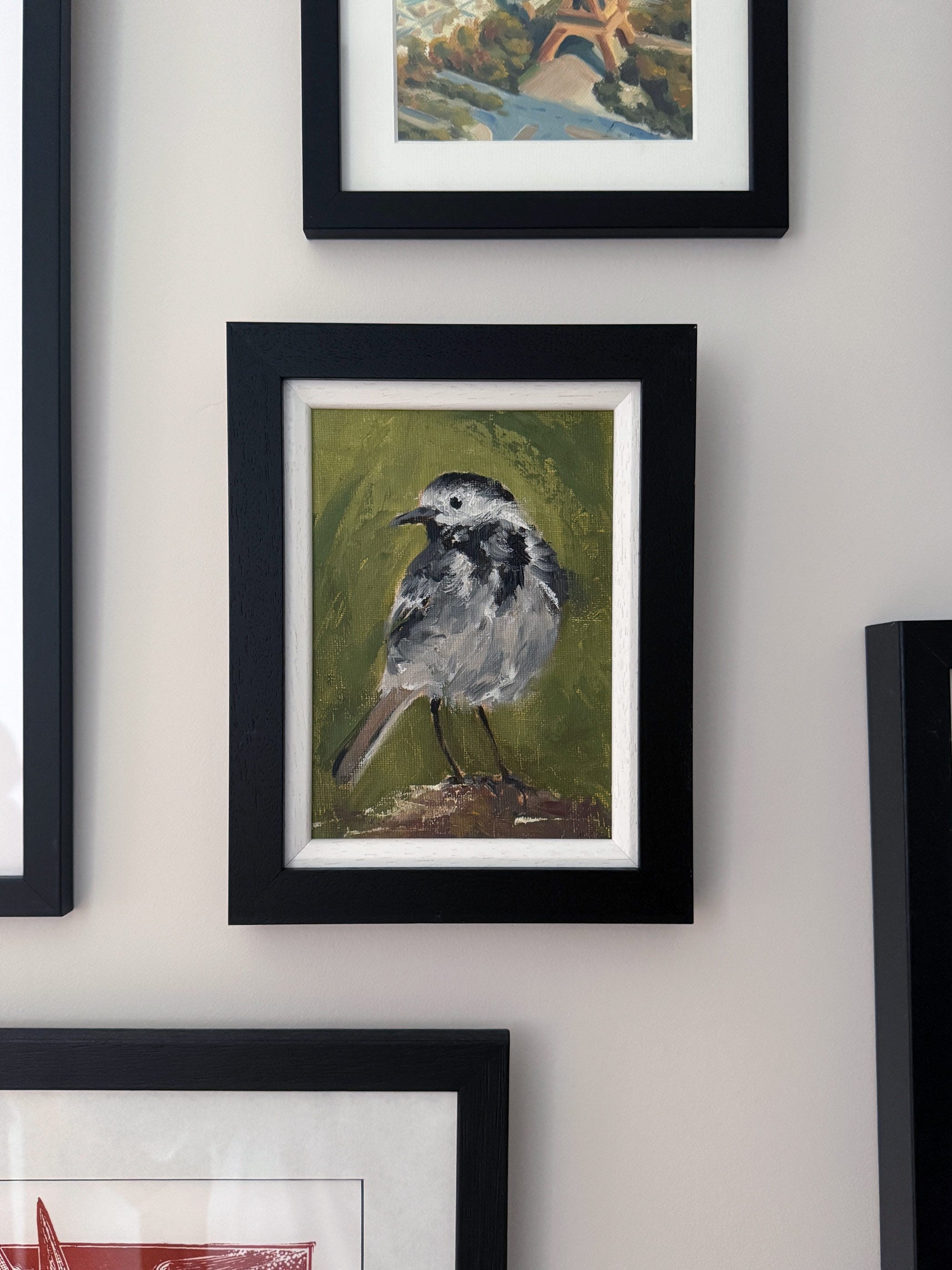 Pied Wagtail (Alla prima) Framed