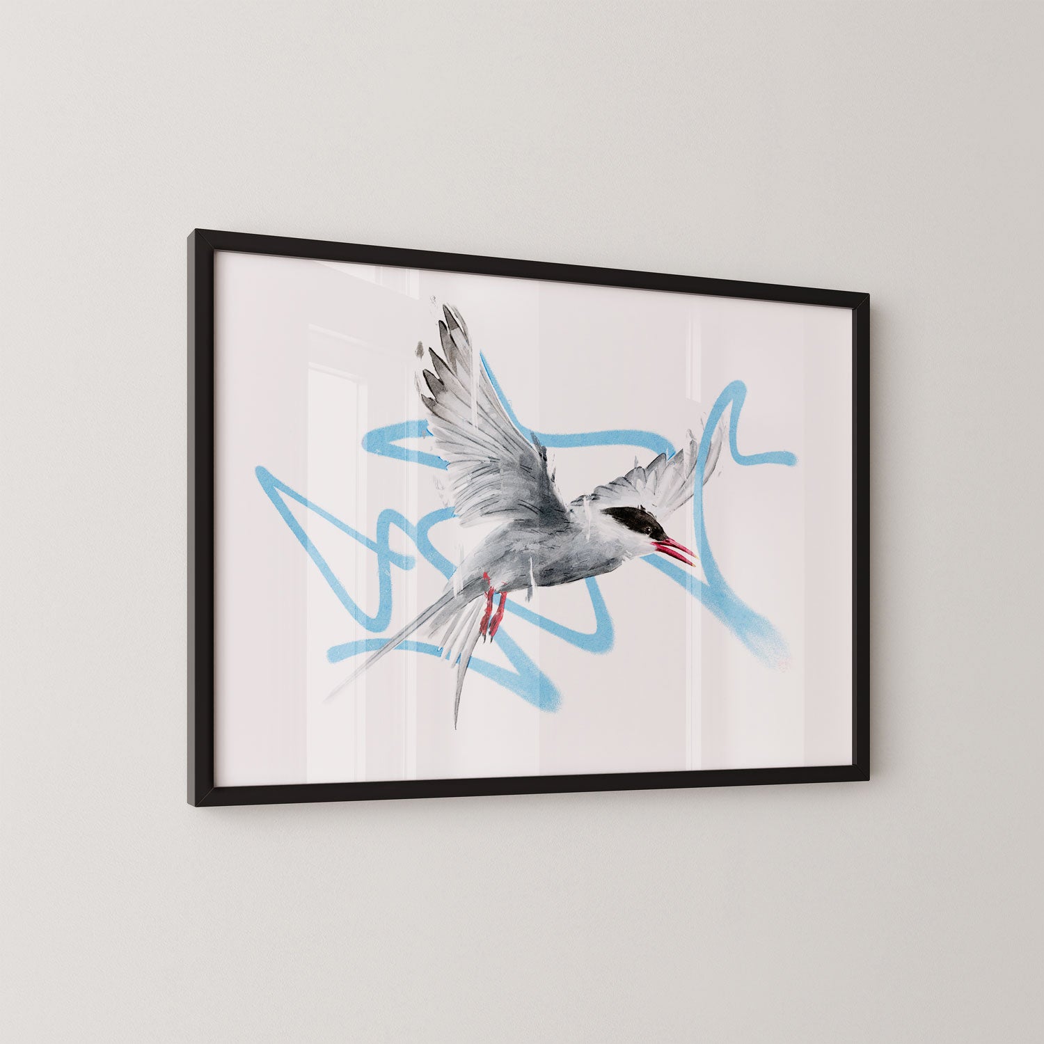 Arctic Tern