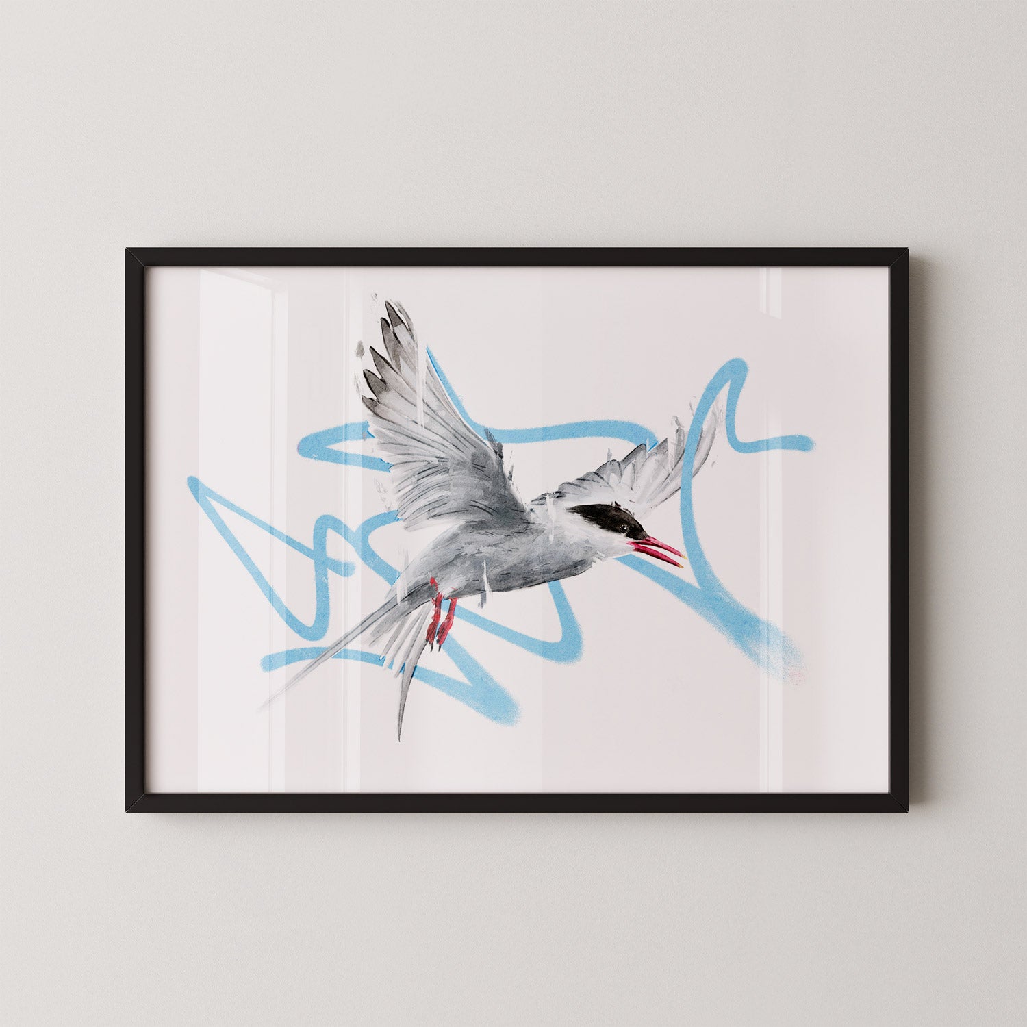 Arctic Tern