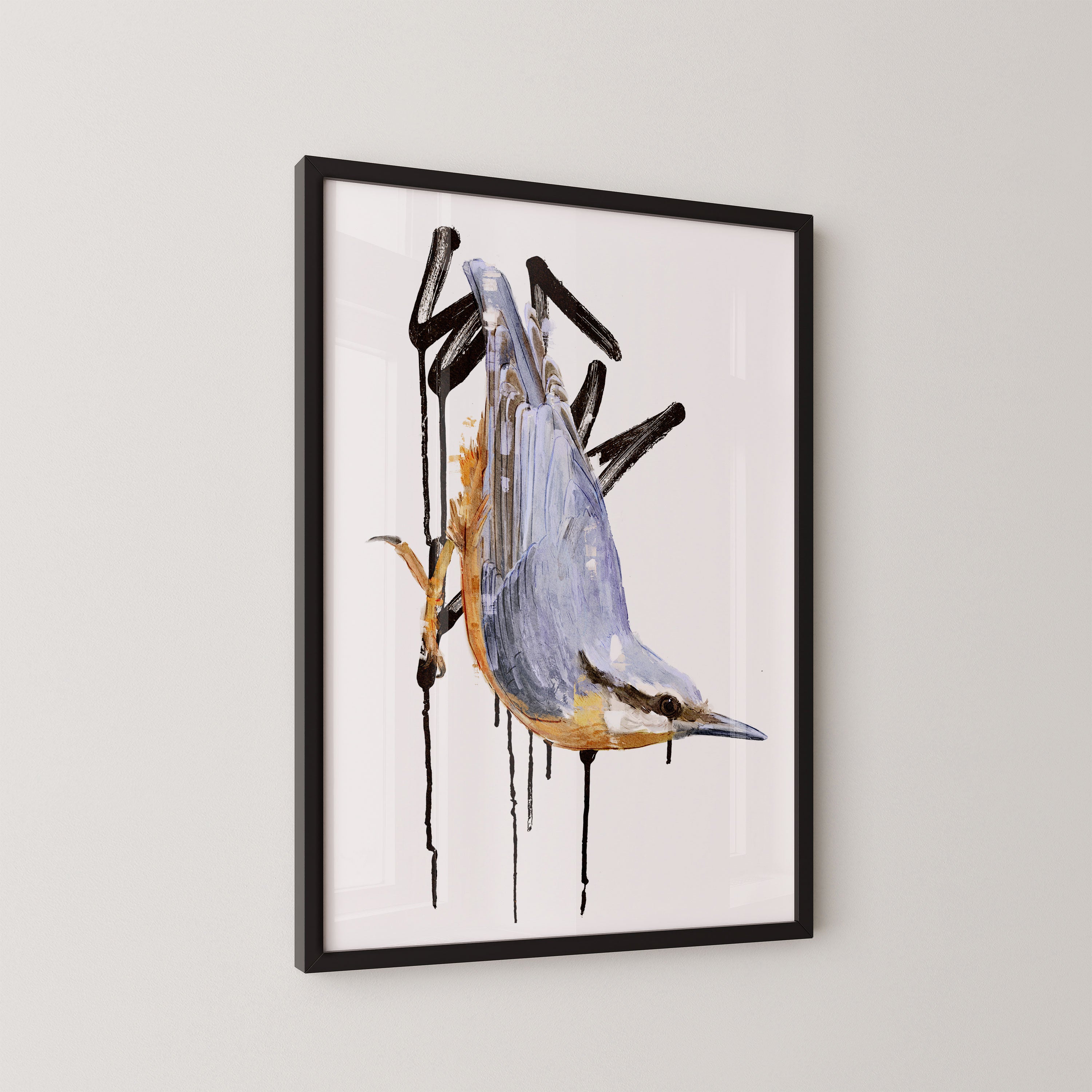 Nuthatch