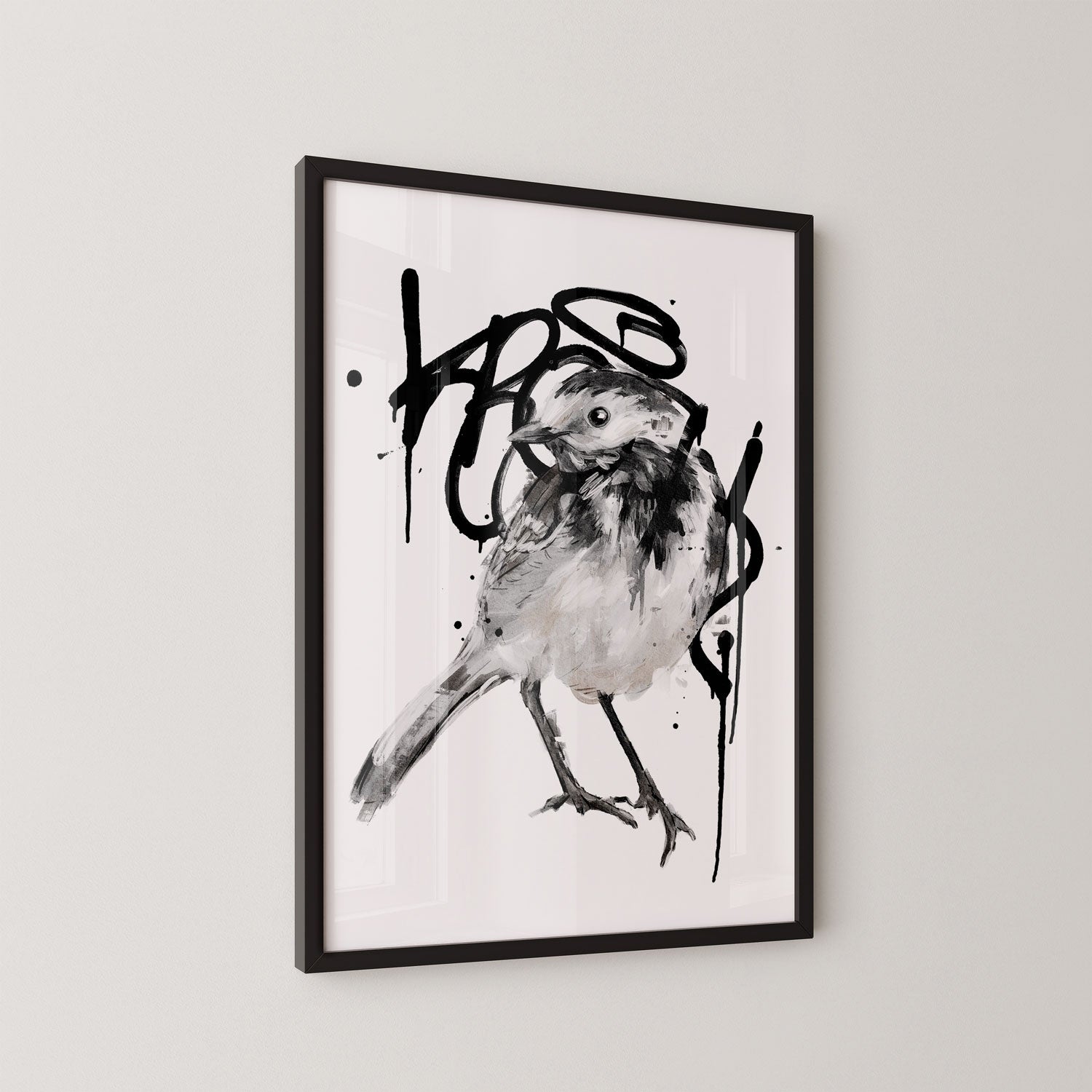 Pied Wagtail